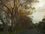 20110906-IMG 7922