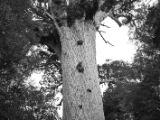 20110907-IMG 7944