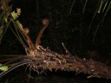 20110907-IMG 7960