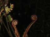 20110907-IMG 7962