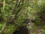 20110907-IMG 7966