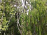 20110907-IMG 7976