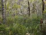 20110907-IMG 7983