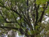 20110907-IMG 7997