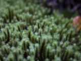 20110907-IMG 8089