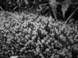 20110907-IMG 8091