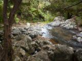 20110908-IMG 8158
