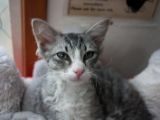 20110908-IMG 8189