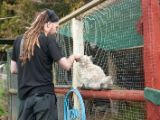 20110908-IMG 8252