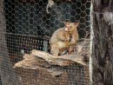 20110908-IMG 8254