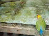 20110908-IMG 8288