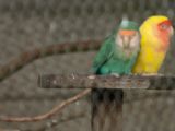 20110908-IMG 8336