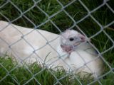 20110908-IMG 8355