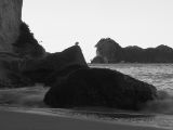 20110908-IMG 8435