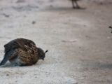 20110908-IMG 8472