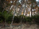 20110908-IMG 8483