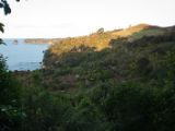 20110908-IMG 8486