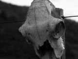 20110908-IMG 8507