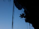 20110908-IMG 8594
