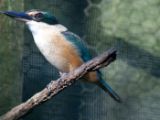 20110910-IMG 8681