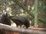 20110910-IMG 8755