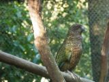 20110910-IMG 8791