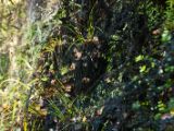 20110914-IMG 9256