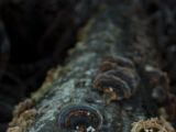 20110914-IMG 9277