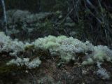 20110914-IMG 9335