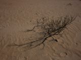 20110914-IMG 9358