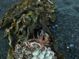 20110915-IMG 9454