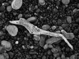 20110915-IMG 9459