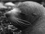 20110916-IMG 9489