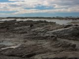 20110916-IMG 9499