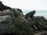 20110916-IMG 9557