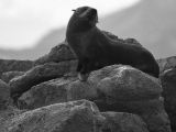 20110916-IMG 9563