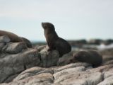 20110916-IMG 9569