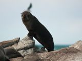 20110916-IMG 9573