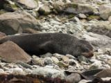 20110916-IMG 9592