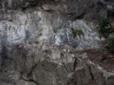 20110916-IMG 9662