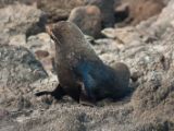 20110916-IMG 9673