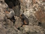 20110916-IMG 9676