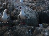 20110916-IMG 9701