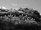 20110916-IMG 9723