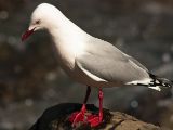 20110916-IMG 9736