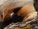 20110916-IMG 9753