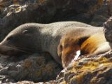 20110916-IMG 9761
