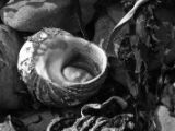20110916-IMG 9778