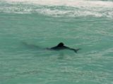 20110917-IMG 9837