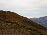 20110917-IMG 9892